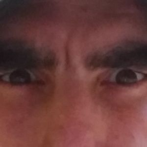 Meet your Posher, Perry